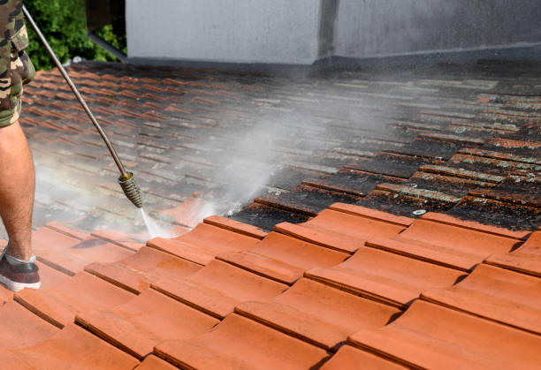 Best Roof Pressure Washing  in Jonestown, TX